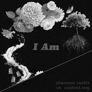 a distorted and greyed remix of track image from Shannon Curtis I Am